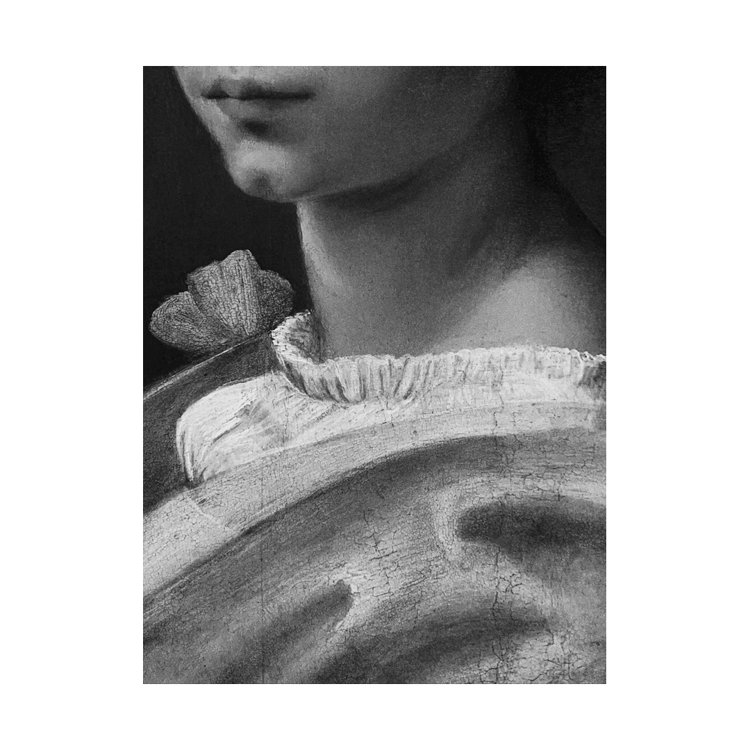 nicola-matteo munari fine art photography paintings