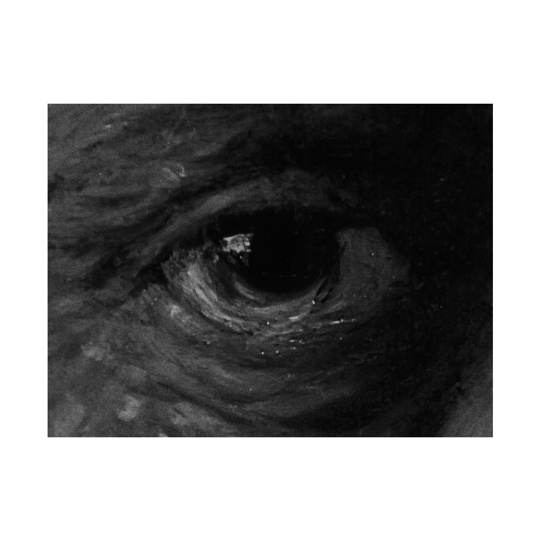 nicola-matteo munari fine art photography paintings