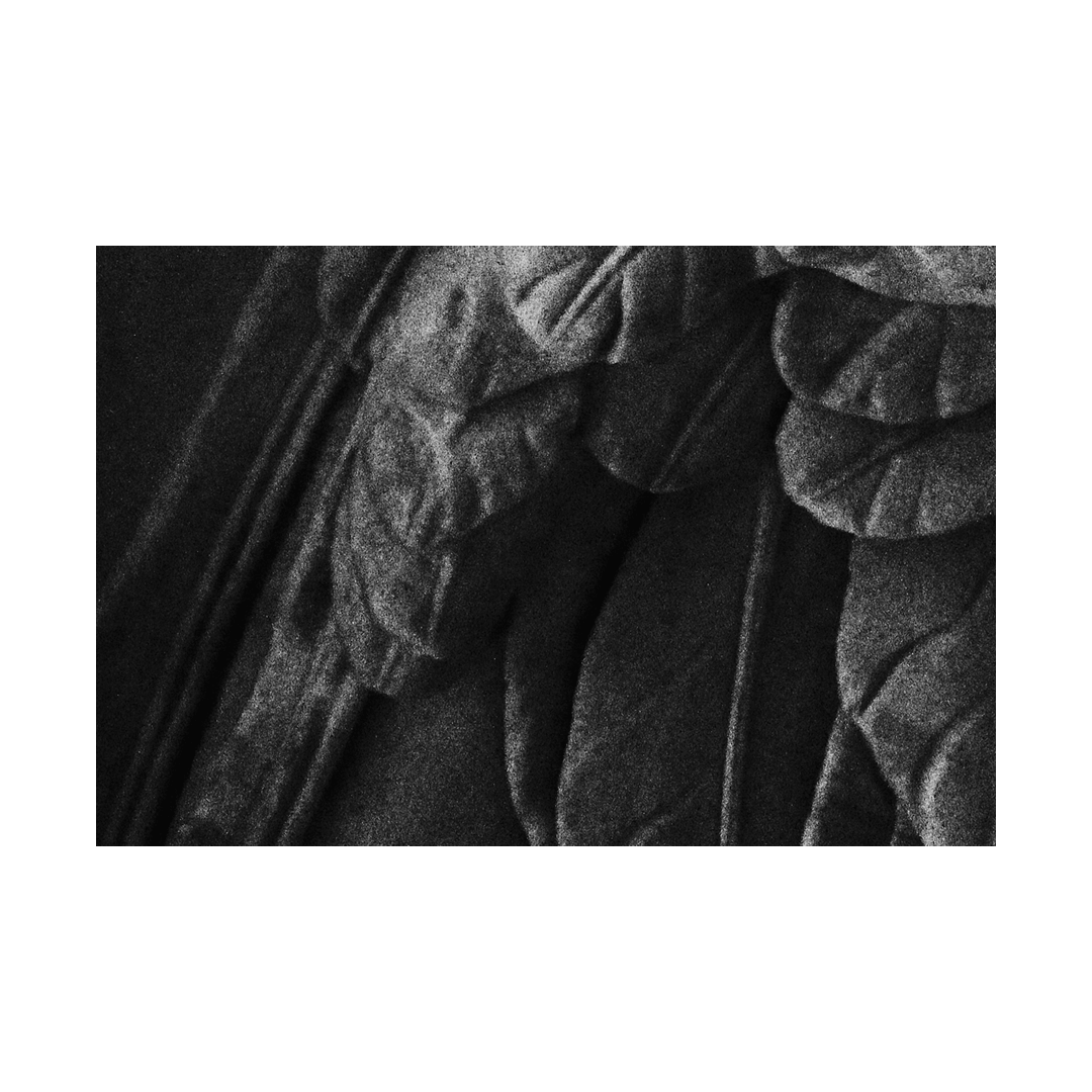 nicola-matteo munari fine art photography sculptures