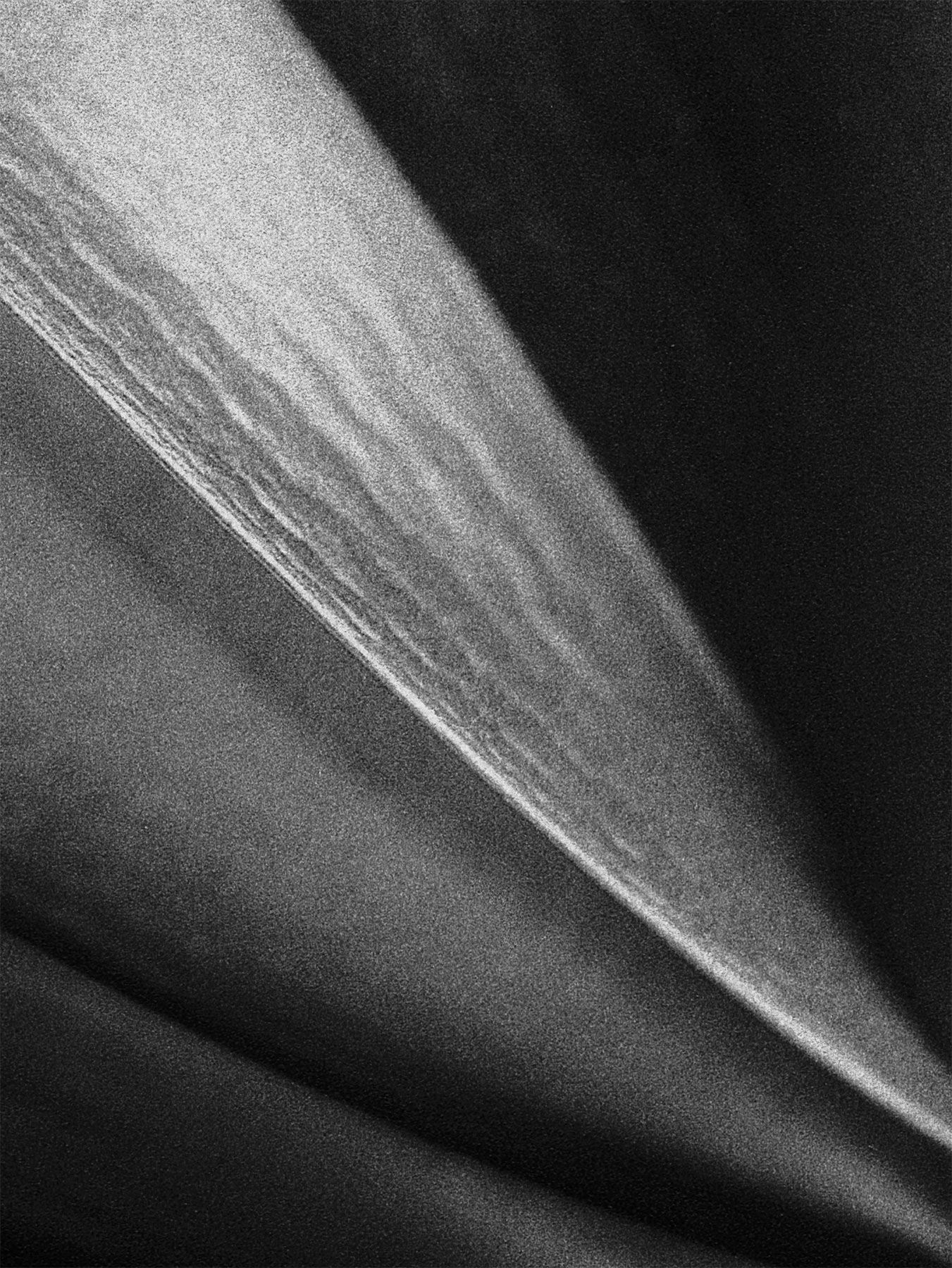 nicola-matteo munari fine art photography botanic