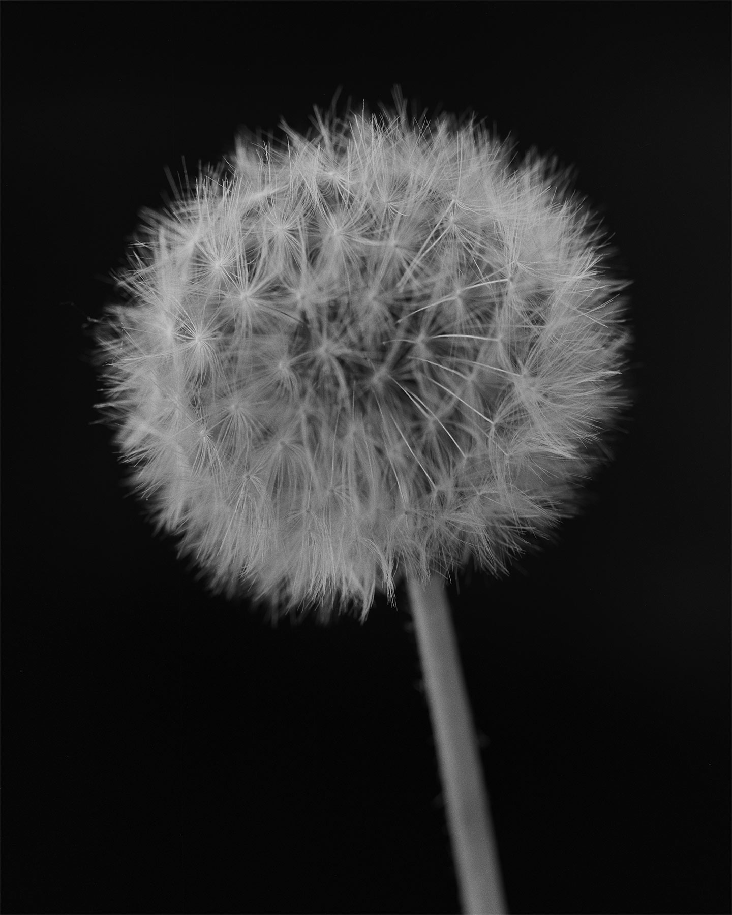 nicola-matteo munari fine art photography baukunst