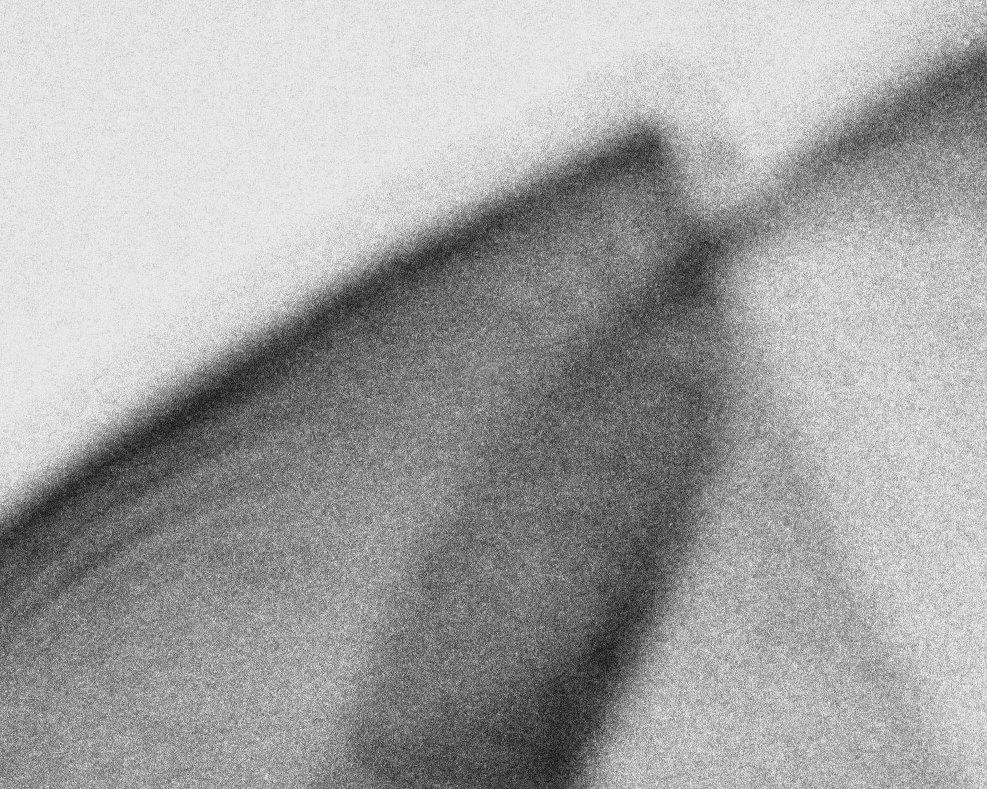 nicola-matteo munari fine art photography experimental