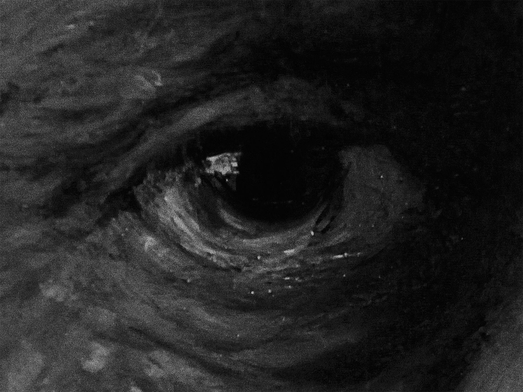 nicola-matteo munari fine art photography paintings