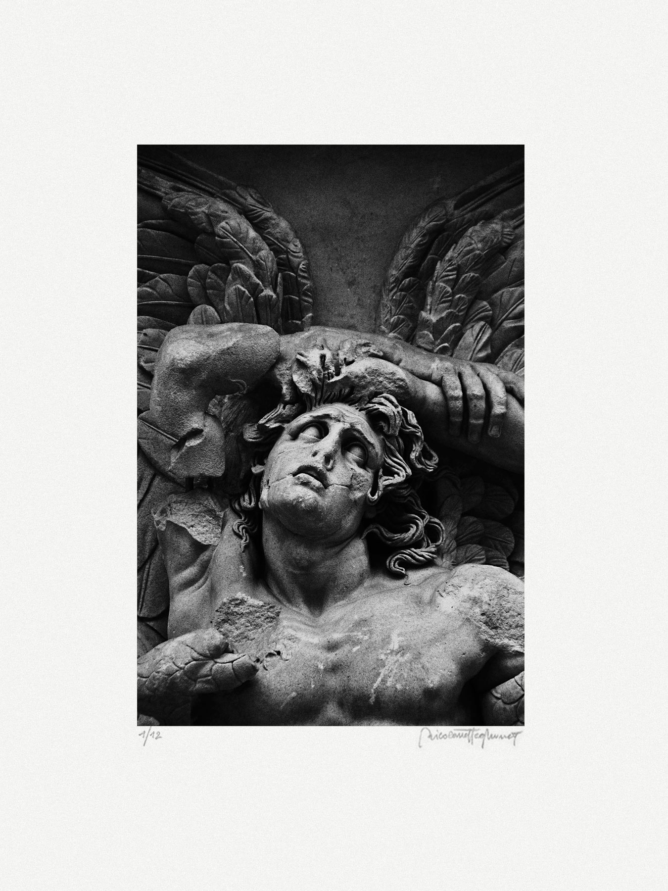 nicola-matteo munari fine art photography sculptures