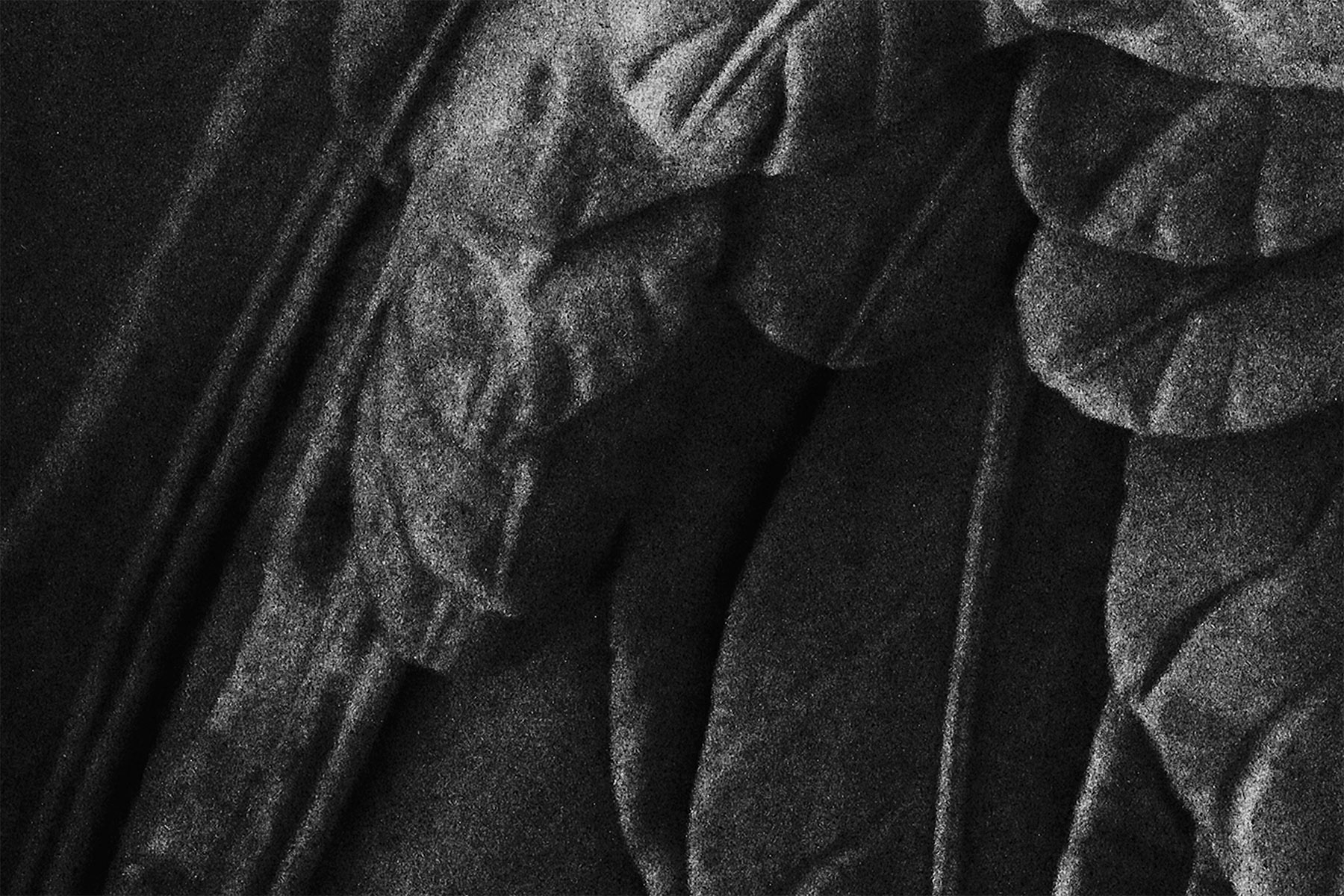 nicola-matteo munari fine art photography sculptures