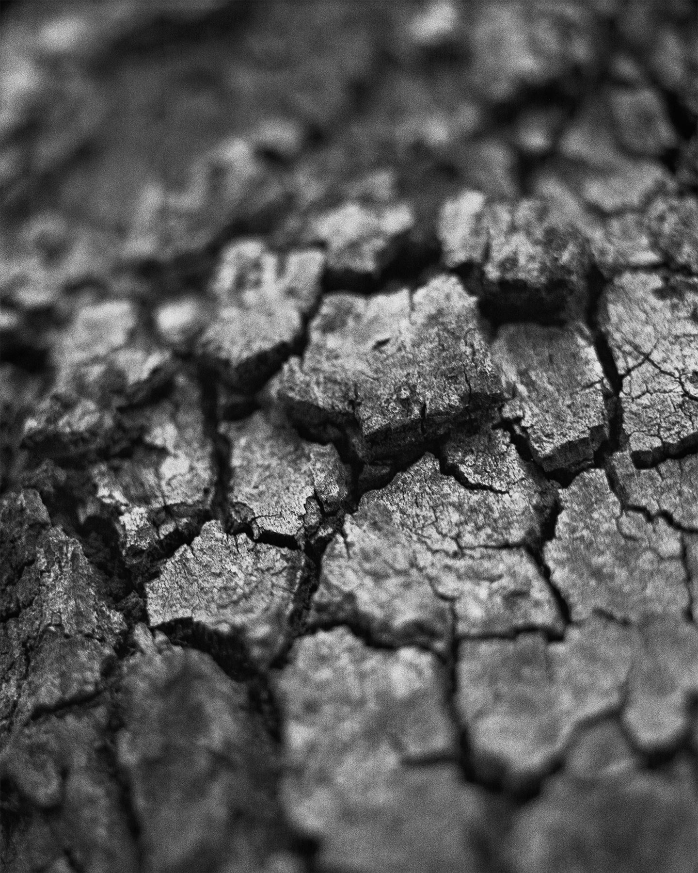 nicola-matteo munari fine art photography baukunst